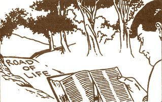 Boy reading his Bible
